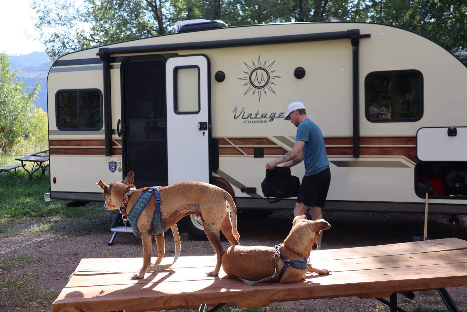A man packing up a camper with his two small dogs watching him